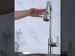 Pull-Down van het messings enig-Handvat de Tapkraan van de Spuitbuskeuken met Drie Functie Sprayhead in Chrome